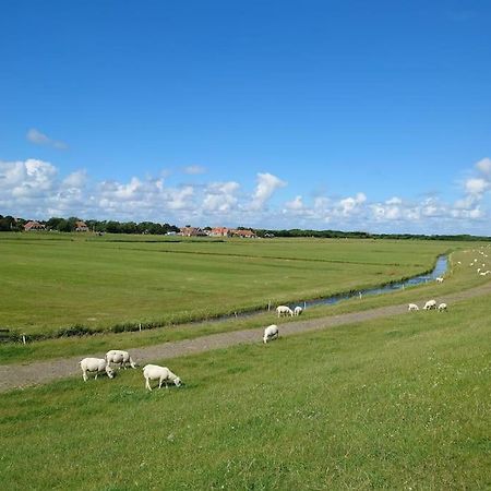 De Oostkamer; Eiland Appartement Naast Natuurgebied Boschplaat Oosterend  Dış mekan fotoğraf