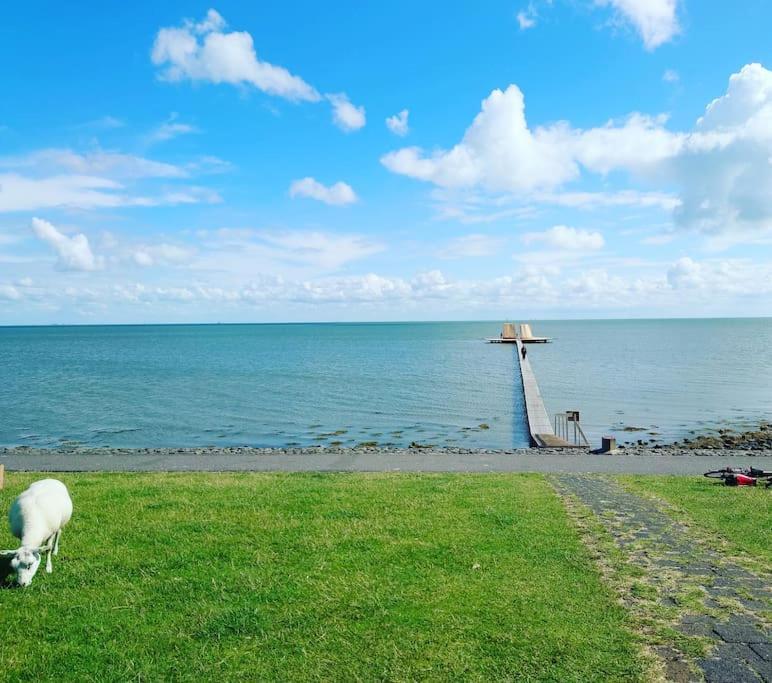 De Oostkamer; Eiland Appartement Naast Natuurgebied Boschplaat Oosterend  Dış mekan fotoğraf